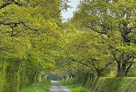 The wonderful lanes in East Yorkshire